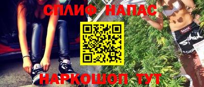 крисы Новоалександровск