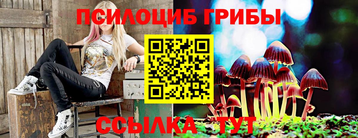 закладки  Галлюциногенные грибы ЛСД  Вход с VPN  Выкса 